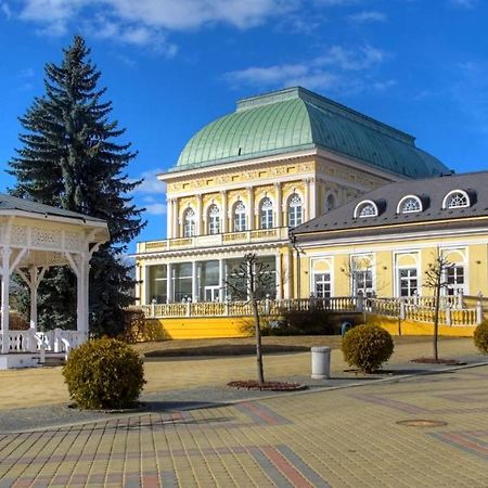 Penzion U Modrého Slona Františkovy Lázně Extérieur photo