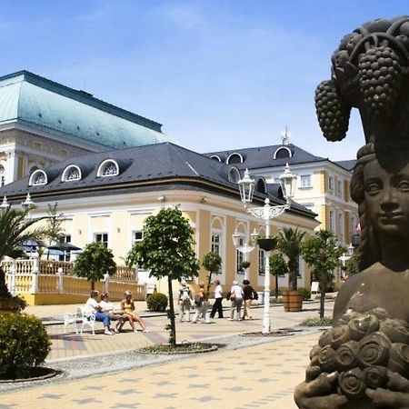 Penzion U Modrého Slona Františkovy Lázně Extérieur photo