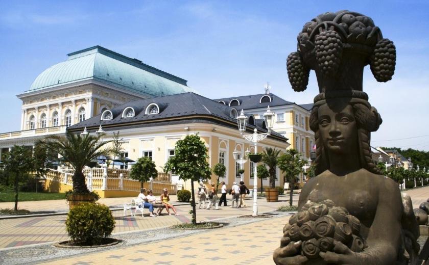 Penzion U Modrého Slona Františkovy Lázně Extérieur photo