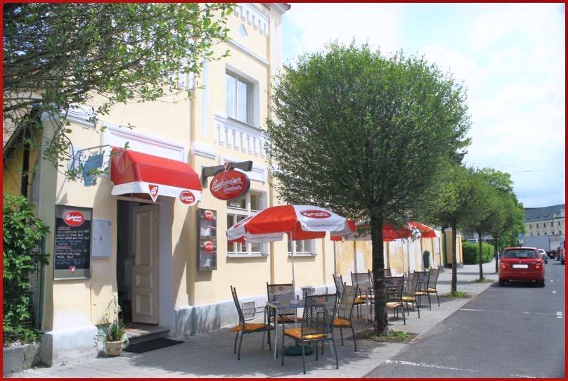 Penzion U Modrého Slona Františkovy Lázně Extérieur photo